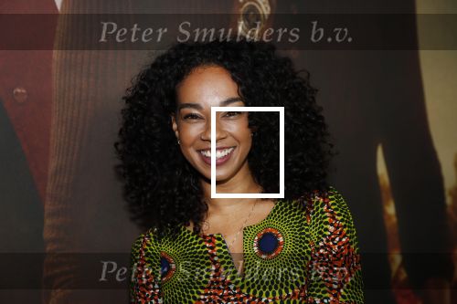 Amsterdam 20 januari 2020
Premiere Bad Boys for life in pathe Arena. Veronica v Hoogdalem