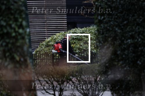 Blaricum 14 februari 2020
Marco Borsato met rode rozen bij zijn huis . Het is valentijnsdag. Er lopen meerdere werklui rond bij de villa van Marco en leontien