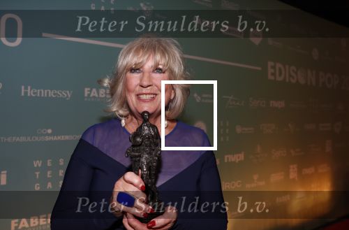 Amsterdam 10 februari 2020
Uitreiking edisons in de westergasfabriek . Najib Amhali presenteert de avond.
Willeke Alberti krijgt ouvre Edison uit handen van Dinand Woesthof