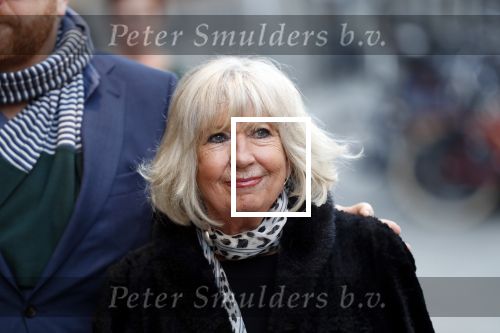 Amsterdam 19 januari 2020
Herdenkingsdienst Martin Elfrink de partner van Andre v Duin die afgelopen maandag overleden is . De Dienst was in het deLamar theater. Willeke Alberti kwam met Frits Huffnagel