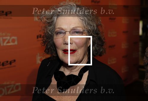 Amsterdam 3 februari 2020
Premiere verliefd op ibiza in het deLamar theater. Willeke v Ammelrooij kwam met haar zus