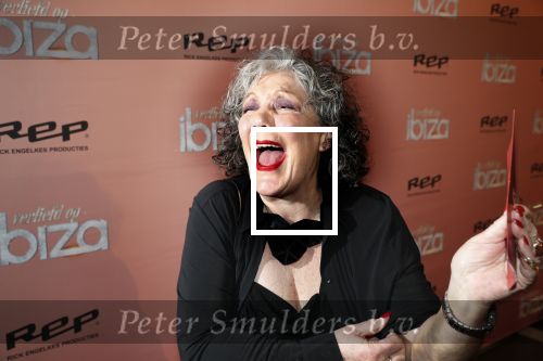 Amsterdam 3 februari 2020
Premiere verliefd op ibiza in het deLamar theater. Willeke v Ammelrooij met blauwe plekken van haar ongeluk