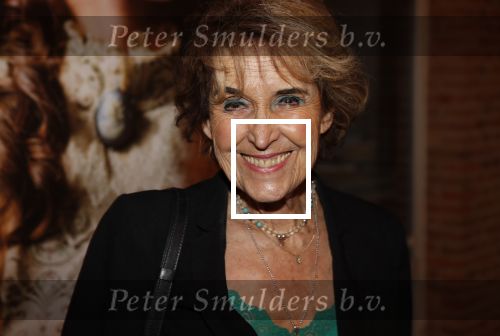 Amsterdam29 januari 2020
Presentatie boek Susan Smit in Amsterdams museum. Yvonne Keuls