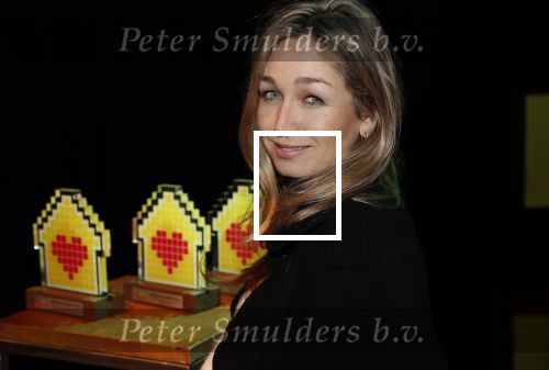 Amsterdam 29 januari 2020
Gala van het vergeten kind bij de westergasfabriek. Zangeres Do ( Dominique v Hulst)