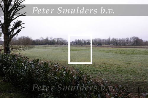 Lage Vuursche en Soest 27 februari 2021
Chris Visser biedt petitie aan bij Prinses Beatrix op Drakensteyn .  De grond bij paleis soestdijk waar misschien  huizen gebouwd gaan worden .