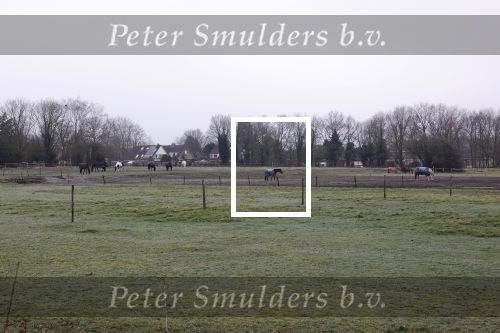 Lage Vuursche en Soest 27 februari 2021
Chris Visser biedt petitie aan bij Prinses Beatrix op Drakensteyn .  De grond bij paleis soestdijk waar misschien  huizen gebouwd gaan worden .
