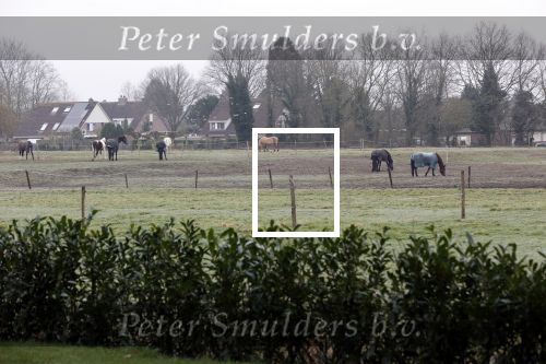 Lage Vuursche en Soest 27 februari 2021
Chris Visser biedt petitie aan bij Prinses Beatrix op Drakensteyn .  De grond bij paleis soestdijk waar misschien  huizen gebouwd gaan worden .