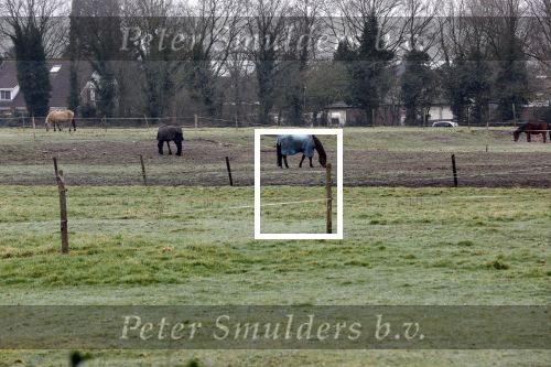Lage Vuursche en Soest 27 februari 2021
Chris Visser biedt petitie aan bij Prinses Beatrix op Drakensteyn .  De grond bij paleis soestdijk waar misschien  huizen gebouwd gaan worden .