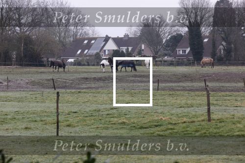 Lage Vuursche en Soest 27 februari 2021
Chris Visser biedt petitie aan bij Prinses Beatrix op Drakensteyn .  De grond bij paleis soestdijk waar misschien  huizen gebouwd gaan worden .