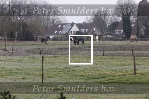 Lage Vuursche en Soest 27 februari 2021
Chris Visser biedt petitie aan bij Prinses Beatrix op Drakensteyn .  De grond bij paleis soestdijk waar misschien  huizen gebouwd gaan worden .