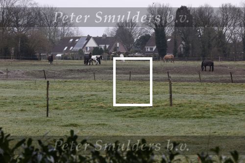 Lage Vuursche en Soest 27 februari 2021
Chris Visser biedt petitie aan bij Prinses Beatrix op Drakensteyn .  De grond bij paleis soestdijk waar misschien  huizen gebouwd gaan worden .