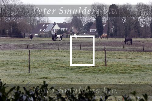 Lage Vuursche en Soest 27 februari 2021
Chris Visser biedt petitie aan bij Prinses Beatrix op Drakensteyn .  De grond bij paleis soestdijk waar misschien  huizen gebouwd gaan worden .