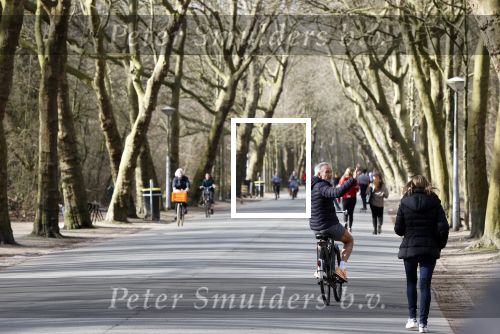 Amsterdam 25 februari 2021
Jaap Jongbloed in het vondelpark