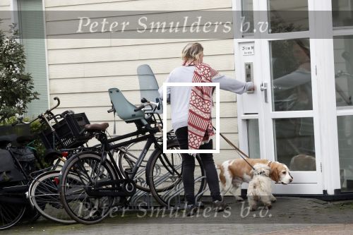 Vinkeveen 15 en 16 oktober 2019
Rachel Hazes in Vinkeveen . Er komen een koerier en een honden uitlaatservice bij haar aan de deur.