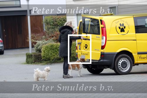 Vinkeveen 15 en 16 oktober 2019
Rachel Hazes in Vinkeveen . Er komen een koerier en een honden uitlaatservice bij haar aan de deur.