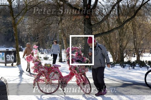 Amsterdam 9 februari 2021
Sneeuw in het vondelpark. Er wordt volop geschaatst in het vondelpark.