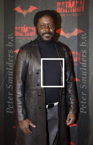 Amsterdam 28 februari 2022
Premiere Batman in Pathe Arena .
Andre Dongelmans met een vriendin