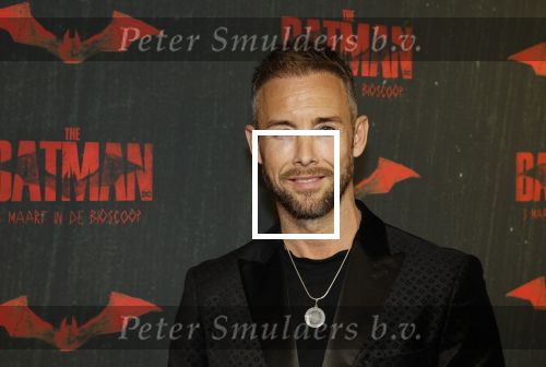 Amsterdam 28 februari 2022
Premiere Batman in Pathe Arena .
Charly Luske