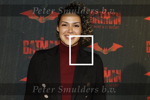 Amsterdam 28 februari 2022
Premiere Batman in Pathe Arena .
Chatilla v Grinsven