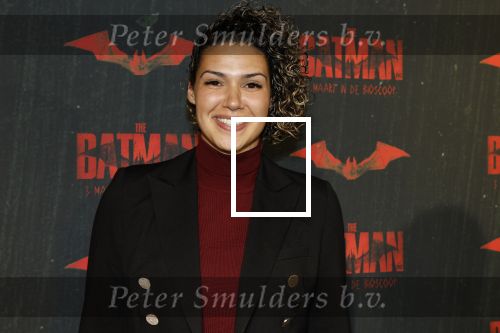 Amsterdam 28 februari 2022
Premiere Batman in Pathe Arena .
Chatilla v Grinsven