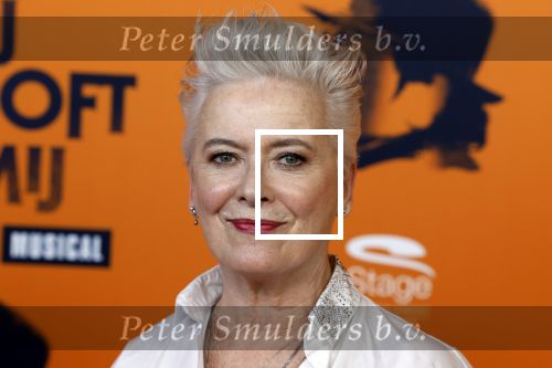 Apeldoorn 27 februari 2022
Premiere Hij gelooft in mij . Doris Baaten