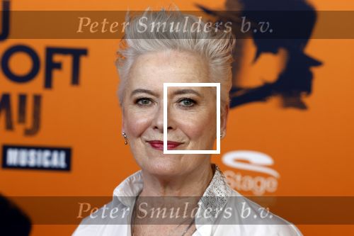 Apeldoorn 27 februari 2022
Premiere Hij gelooft in mij . Doris Baaten