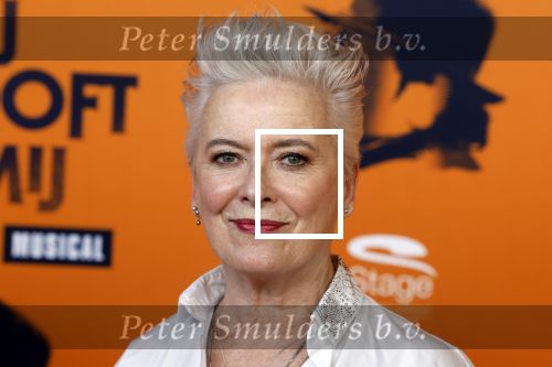 Apeldoorn 27 februari 2022
Premiere Hij gelooft in mij . Doris Baaten