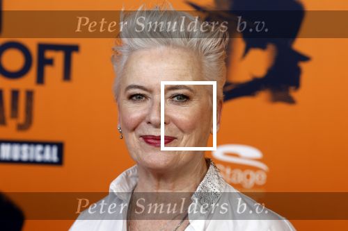 Apeldoorn 27 februari 2022
Premiere Hij gelooft in mij . Doris Baaten