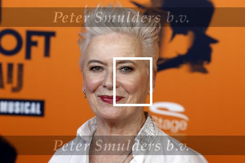 Apeldoorn 27 februari 2022
Premiere Hij gelooft in mij . Doris Baaten