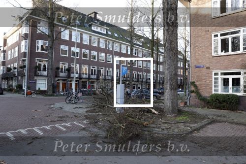 Amsterdam 19 februari 2022
Ellemieke Vermolen is tijdens de storm onder een boom terecht gekomen met haar auto.