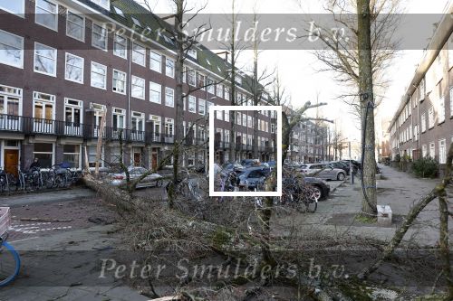Amsterdam 19 februari 2022
Ellemieke Vermolen is tijdens de storm onder een boom terecht gekomen met haar auto.