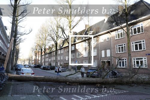 Amsterdam 19 februari 2022
Ellemieke Vermolen is tijdens de storm onder een boom terecht gekomen met haar auto.