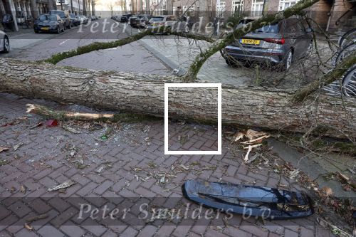 Amsterdam 19 februari 2022
Ellemieke Vermolen is tijdens de storm onder een boom terecht gekomen met haar auto.
