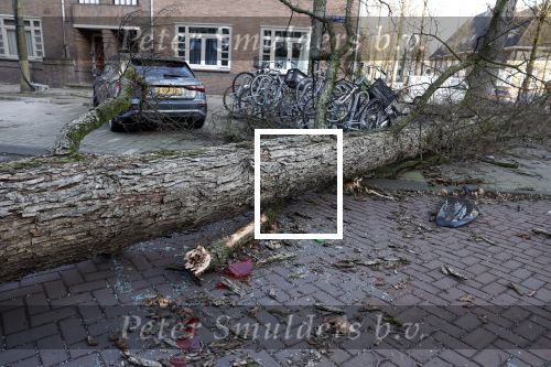 Amsterdam 19 februari 2022
Ellemieke Vermolen is tijdens de storm onder een boom terecht gekomen met haar auto.