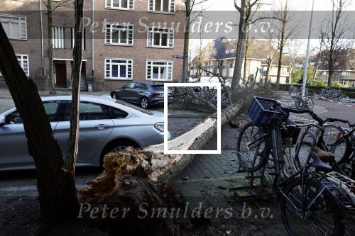 Amsterdam 19 februari 2022
Ellemieke Vermolen is tijdens de storm onder een boom terecht gekomen met haar auto.