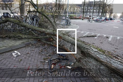 Amsterdam 19 februari 2022
Ellemieke Vermolen is tijdens de storm onder een boom terecht gekomen met haar auto.