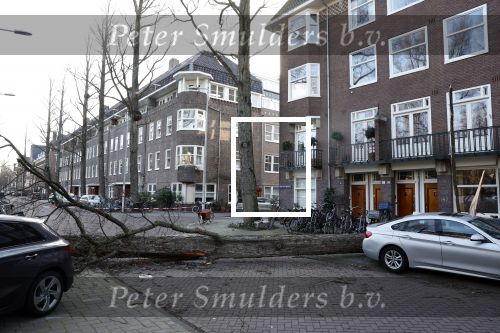 Amsterdam 19 februari 2022
Ellemieke Vermolen is tijdens de storm onder een boom terecht gekomen met haar auto.