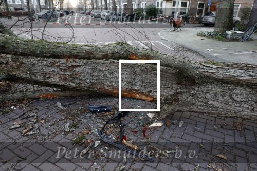 Amsterdam 19 februari 2022
Ellemieke Vermolen is tijdens de storm onder een boom terecht gekomen met haar auto.