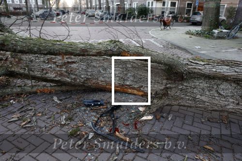 Amsterdam 19 februari 2022
Ellemieke Vermolen is tijdens de storm onder een boom terecht gekomen met haar auto.