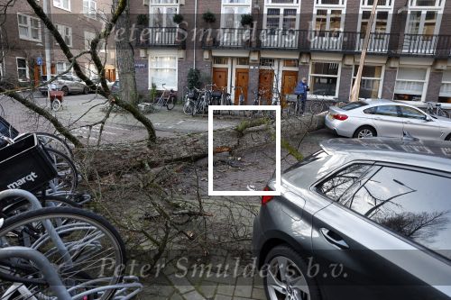 Amsterdam 19 februari 2022
Ellemieke Vermolen is tijdens de storm onder een boom terecht gekomen met haar auto.