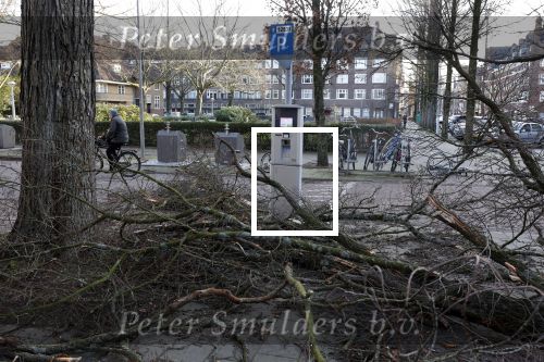 Amsterdam 19 februari 2022
Ellemieke Vermolen is tijdens de storm onder een boom terecht gekomen met haar auto.