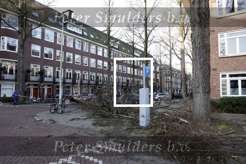 Amsterdam 19 februari 2022
Ellemieke Vermolen is tijdens de storm onder een boom terecht gekomen met haar auto.