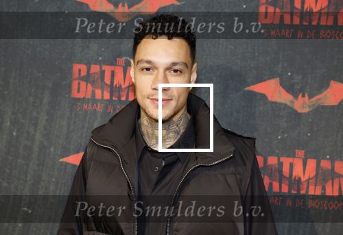 Amsterdam 28 februari 2022
Premiere Batman in Pathe Arena .
Gregory v d Wiel en zijn partner Rose Bertram