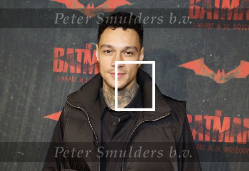 Amsterdam 28 februari 2022
Premiere Batman in Pathe Arena .
Gregory v d Wiel en zijn partner Rose Bertram