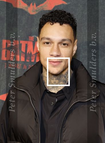 Amsterdam 28 februari 2022
Premiere Batman in Pathe Arena .
Gregory v d Wiel en zijn partner Rose Bertram