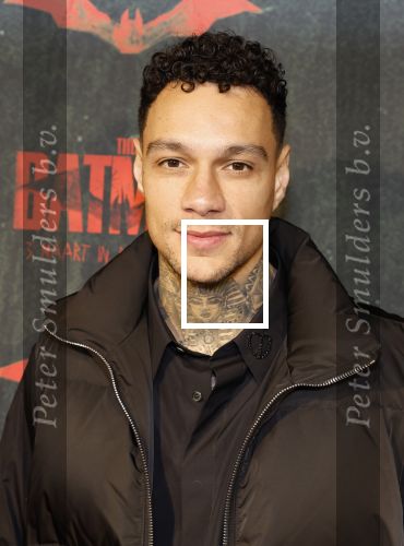 Amsterdam 28 februari 2022
Premiere Batman in Pathe Arena .
Gregory v d Wiel en zijn partner Rose Bertram