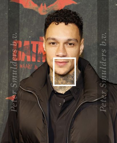 Amsterdam 28 februari 2022
Premiere Batman in Pathe Arena .
Gregory v d Wiel en zijn partner Rose Bertram