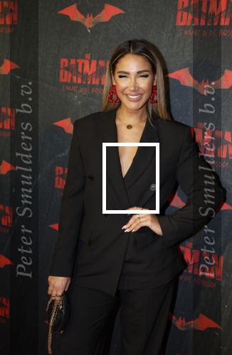 Amsterdam 28 februari 2022
Premiere Batman in Pathe Arena . Janice Blok
