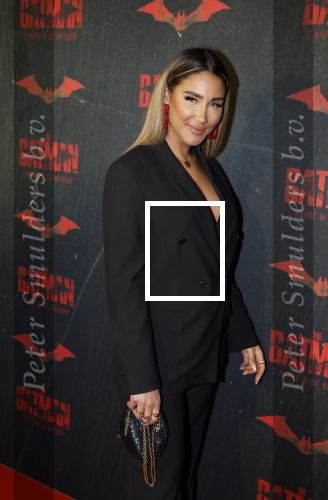Amsterdam 28 februari 2022
Premiere Batman in Pathe Arena . Janice Blok