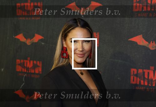 Amsterdam 28 februari 2022
Premiere Batman in Pathe Arena . Janice Blok